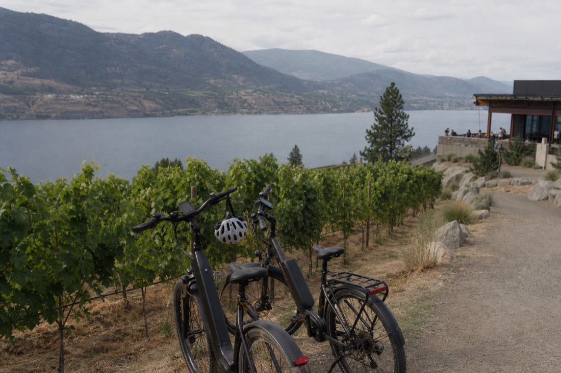 Kelowna E-Bike Wine Tour with Lunch