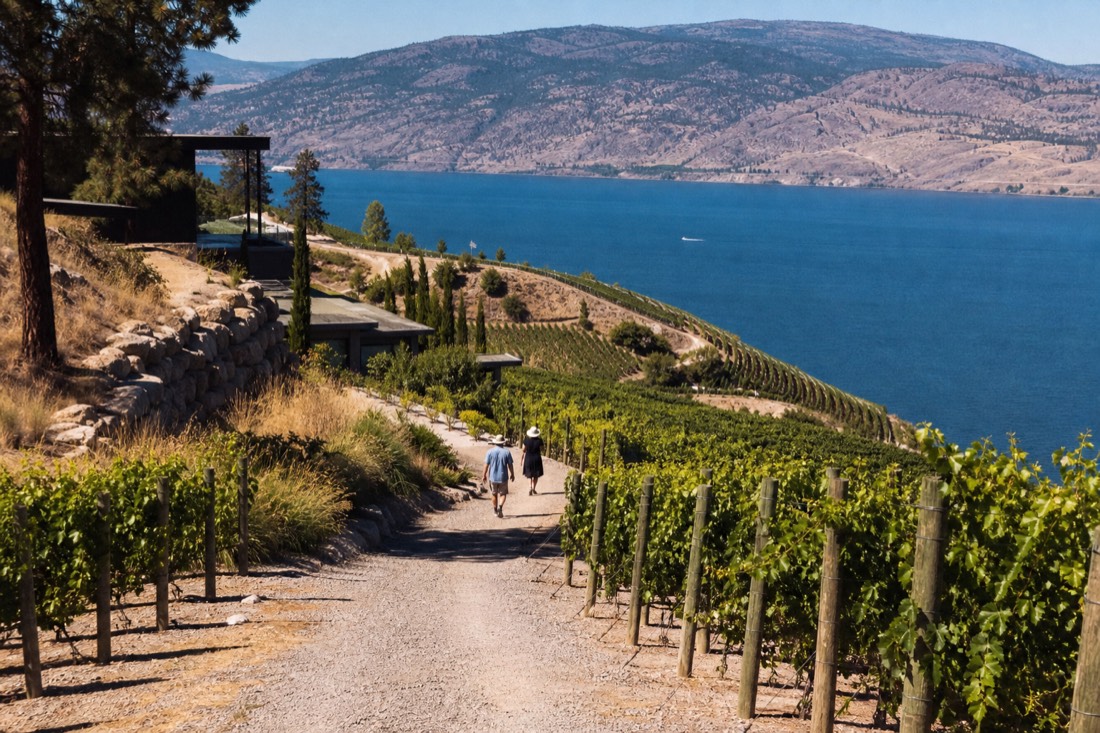 Naramata Bench 5-Winery Tour with Lunch