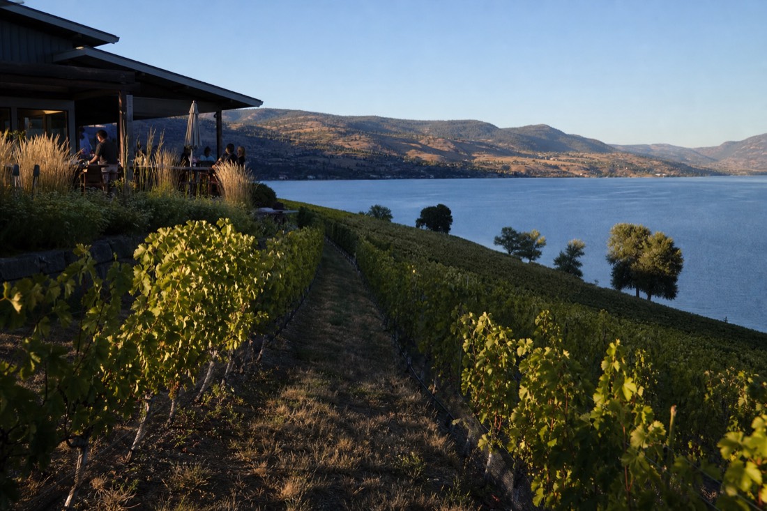 Kelowna Afternoon Sightseeing Wine Tour