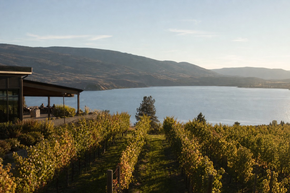 West Kelowna Half-Day Guided Wine Tour