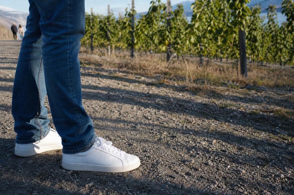 Close view of casual jeans and clean white sneakers standing on a gravel vineyard path, green vine rows blurred behind, warm daylight, no people above the knee, no branding, no text.