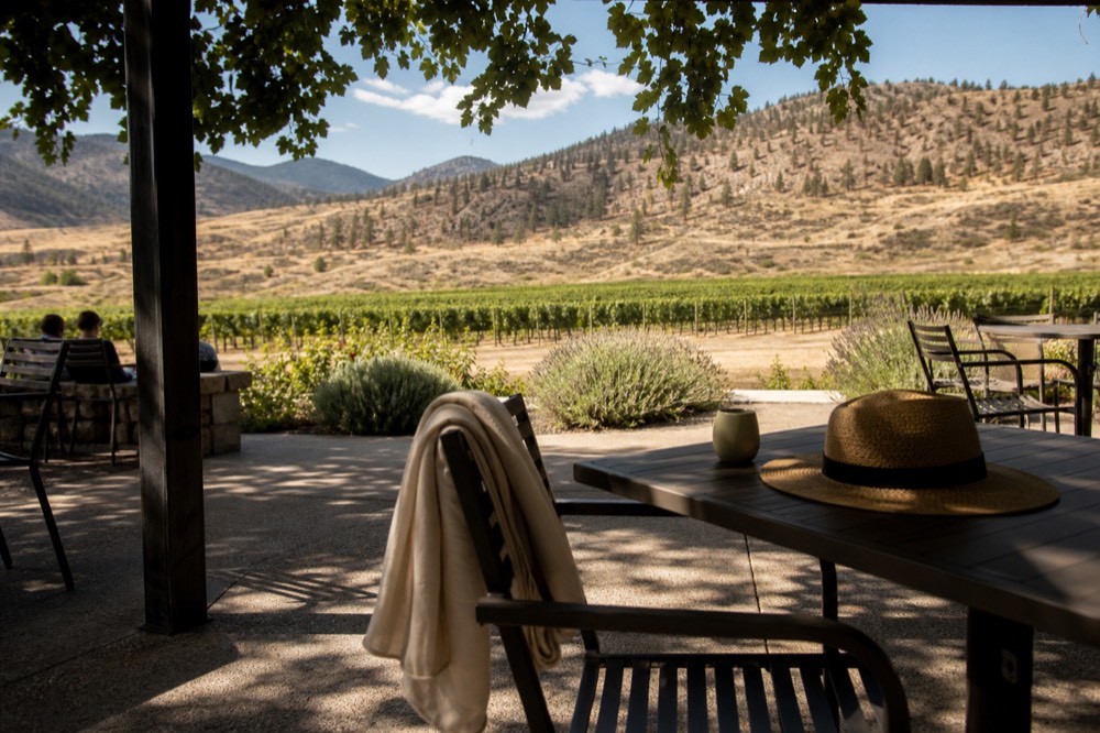 A shaded winery patio with light layers draped over a chair back and a sun hat on the table, dappled light through a vine trellis, no people, no branding, no text.