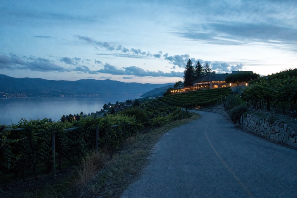 Narrow rural road winding along a vineyard bench high above Okanagan Lake, terraced rows on both sides, hazy hills across the water, no people, no signs.