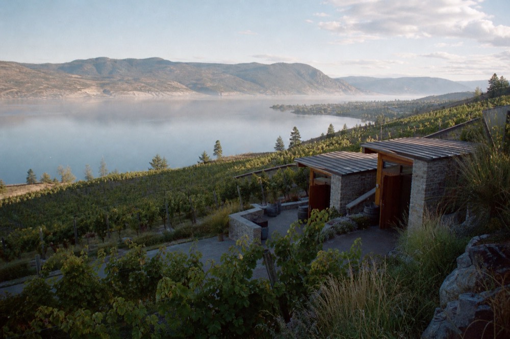 A cluster of small cellar-door tasting rooms among vineyards on rolling hills, no people, no logos, no signage text.