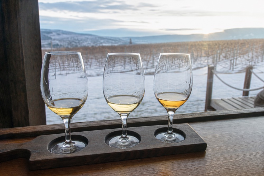 Close view of a tasting flight of three wine glasses on a wooden bar with a sunlit vineyard blurred behind, no people, no logos, no text.