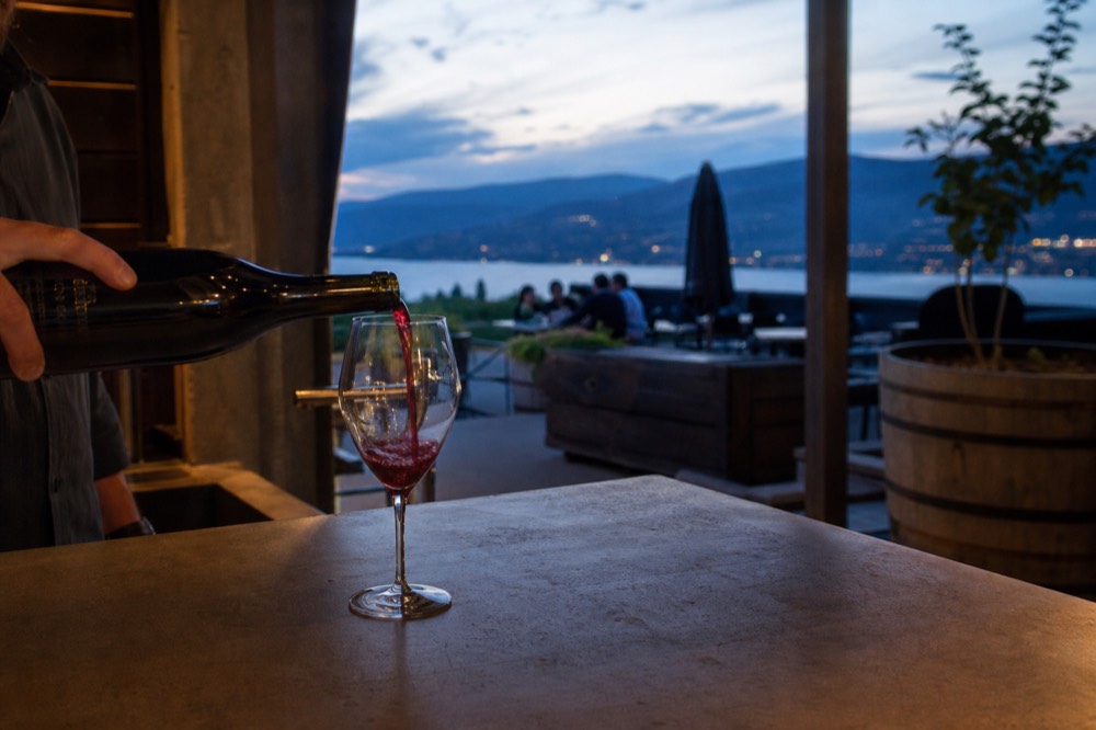 Wine being poured at a cellar-door bar with vineyard light behind, no people identifiable, no logos.