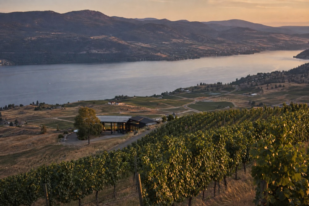Wide view of dispersed Okanagan vineyard blocks separated by open rural roads and hills above the lake, a few distant tasting rooms, clear afternoon, no people, no signage.