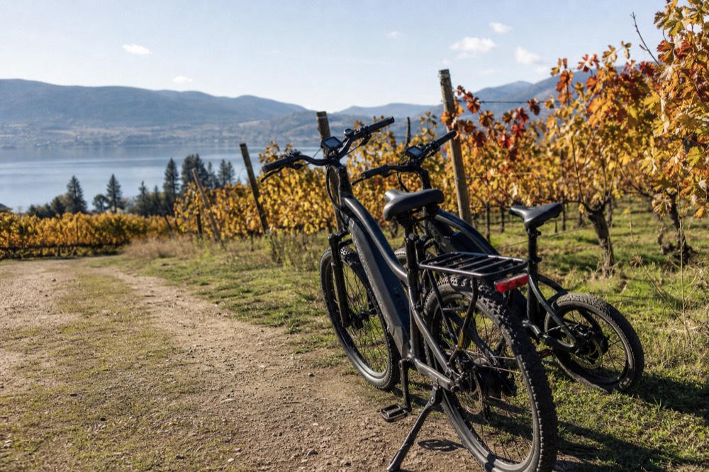 Two electric bikes resting beside a vineyard lane on the Kelowna Westside with the lake below, sunny midday, no people, no branding, no text.