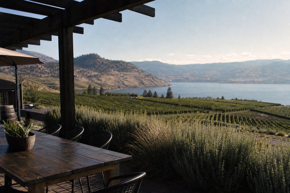 Terraced Westside vineyard rows dropping to Okanagan Lake under bright morning sun, a pergola-covered tasting terrace in the foreground, no people, no branding.