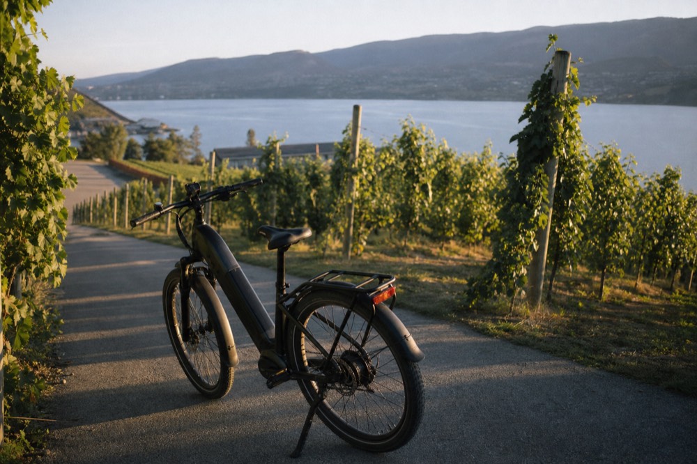 An e-bike parked on a paved vineyard path among green vines on a warm Okanagan afternoon, lake visible beyond, no people, no logos, no text.