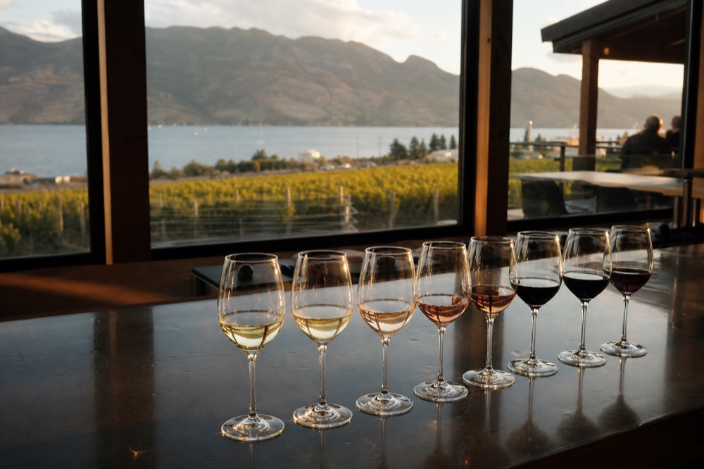 A row of poured tasting samples along a cellar-door bar with warm light and a vineyard visible through a window, no people, no logos, no text.