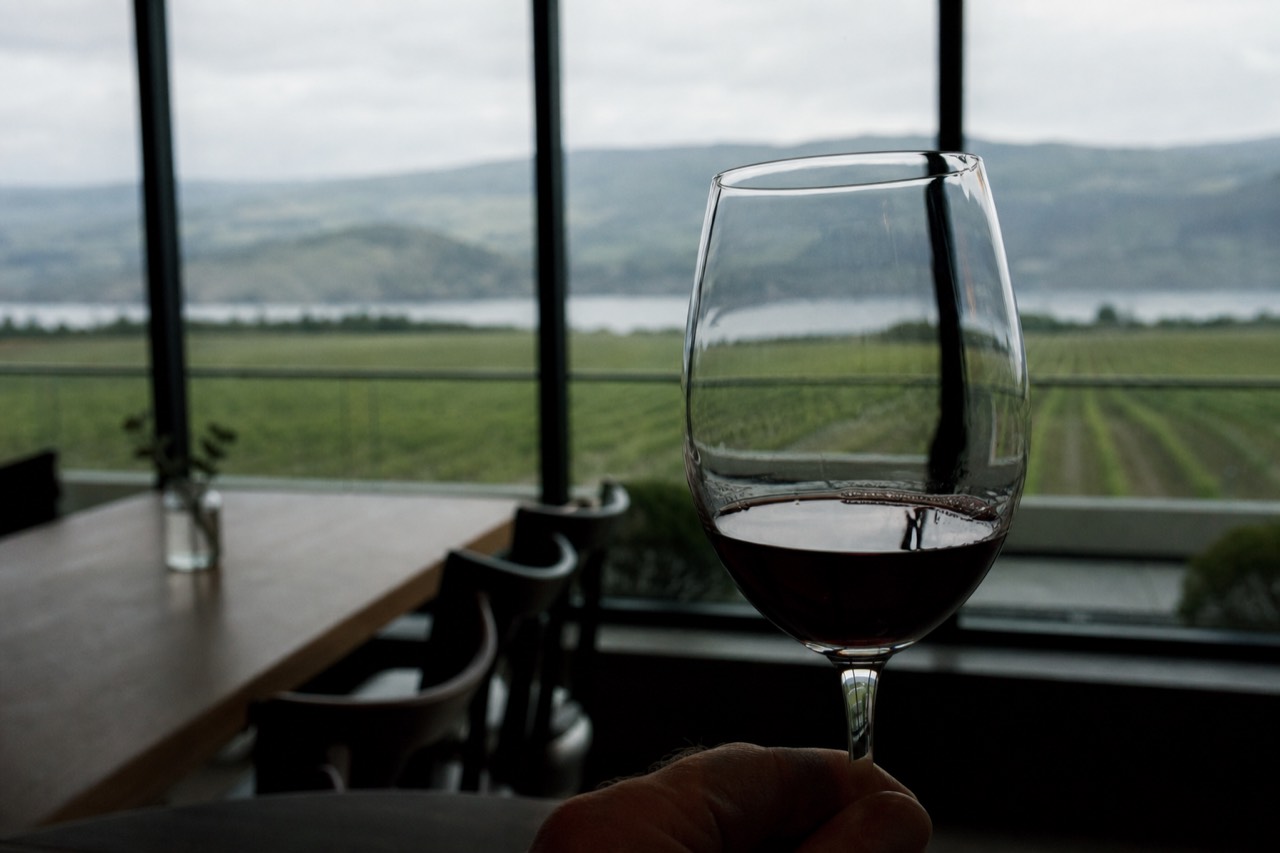 A single glass of red wine held to the light against a bright window with vineyard rows softly blurred outside, no people, no branding, no text.