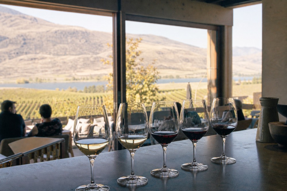 A tasting flight of reds and whites on a counter with vineyard rows through the window, no people, no logos, no text.
