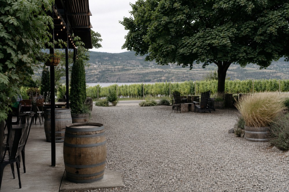 Gravel tasting-room courtyard beside a vineyard with wooden barrels and a shaded patio, bright Okanagan daylight, no people, no logos.