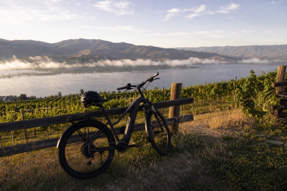 An electric bike leaning against a fence at the edge of a sunlit vineyard above Okanagan Lake, helmet on the seat, no people, no branding.
