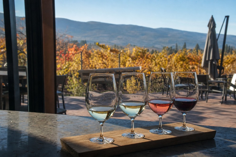 A tasting flight of four wine glasses on a stone counter, pale white to deeper red, vineyard light behind, no people, no branding, no text.