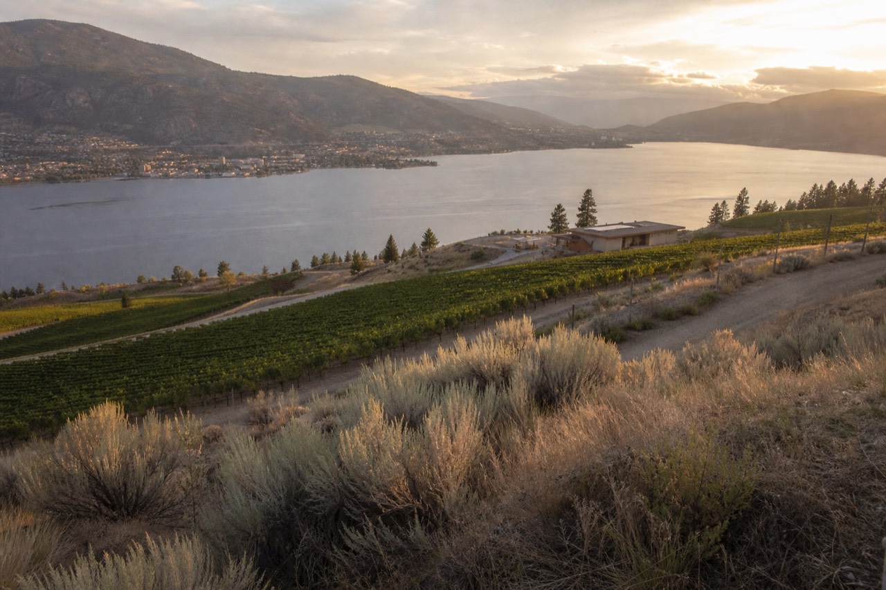 Okanagan Lake stretching between two vineyard-covered hillsides at golden hour, a lakeside town on the far shore, terraced wine benches above the water, no people, no signage.