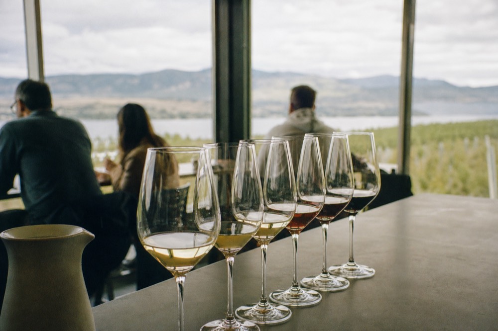 A flight of wine glasses lined up on a tasting-bar counter with vineyard light behind, no logos.
