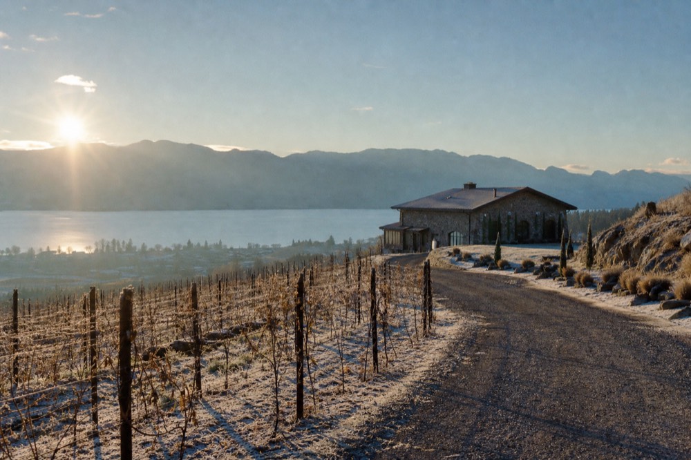 Vineyard rows on a gravel bench with a stone winery building and blue lake beyond, warm afternoon light, no people, no logos.