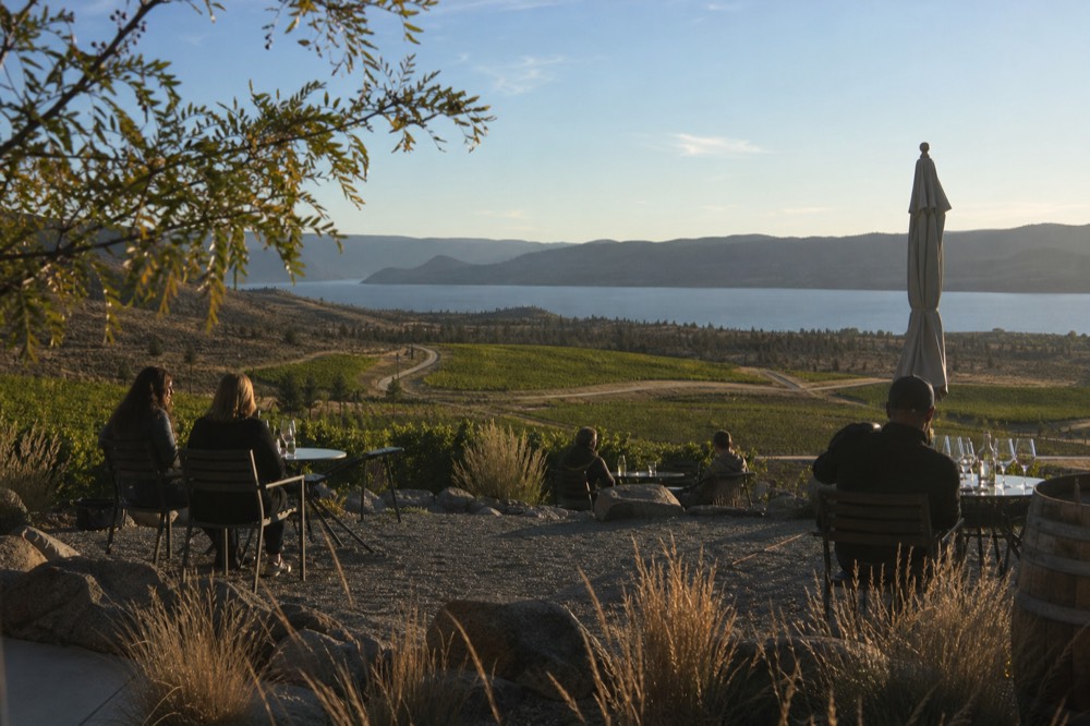 A ribbon of country road curving between vineyard blocks and a long lake in the distance, low golden light, no cars, no signage.