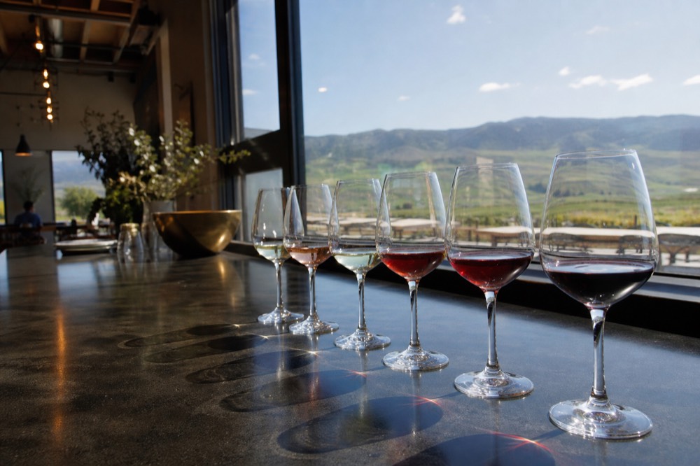 A flight of wine glasses lined along a tasting-bar counter with vineyard light spilling through a window, no logos, no people.