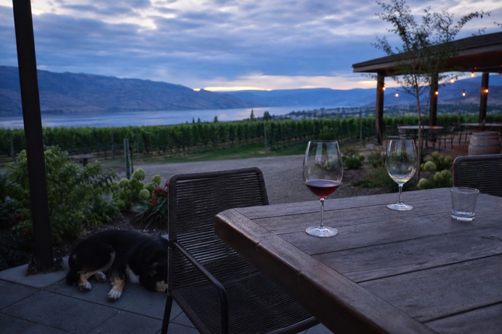A relaxed vineyard patio in late-afternoon light with wine glasses on a wooden table and a dog dozing in the shade beneath, lake and vines beyond, no people, no branding, no text.