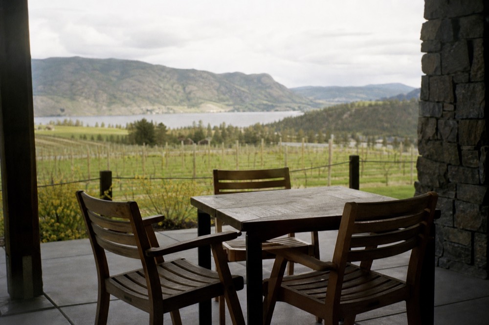 A small unbranded tasting-room patio with empty wooden chairs overlooking sloped vineyard rows, warm afternoon light, no signage, no people.