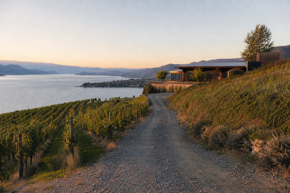 A gravel vineyard lane winding up a green slope toward a modern winery building, no cars, no people, no signage.
