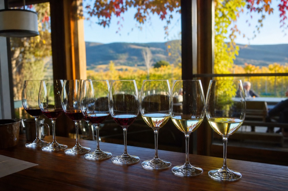 A flight of red and white wine glasses lined up on a wooden tasting counter with vineyard light through a window behind, no logos, no people.