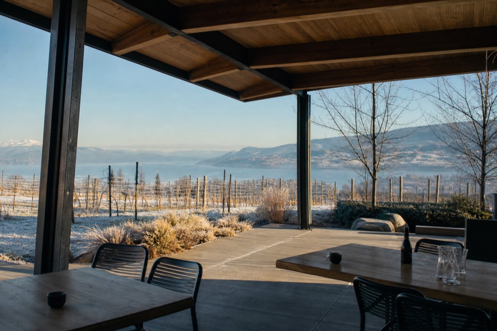 A covered outdoor tasting patio with fresh young vine plantings and open lake views under a clear sky, no people, no branding.