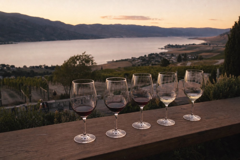 A flight of wine glasses resting on a patio rail overlooking a valley of vineyards and lake, no logos, no people.