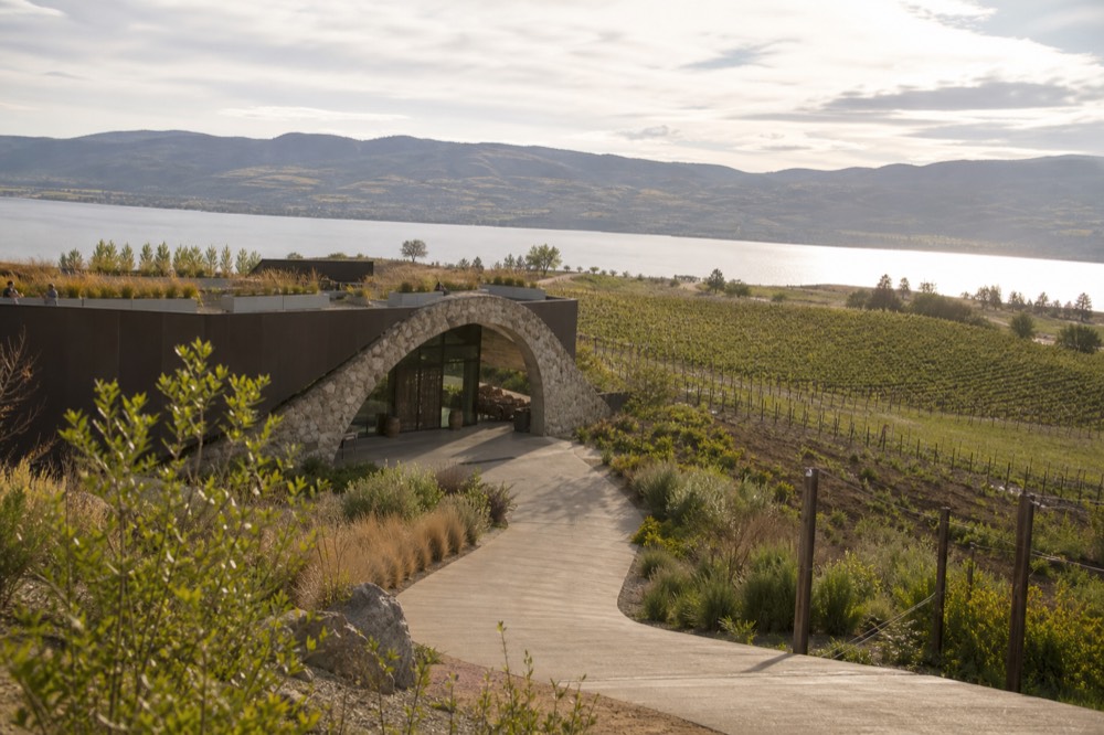 A modern architectural winery building with a sweeping stone entrance arch and young vine plantings, lake and hills behind under open sky, no branding, no people, no text.