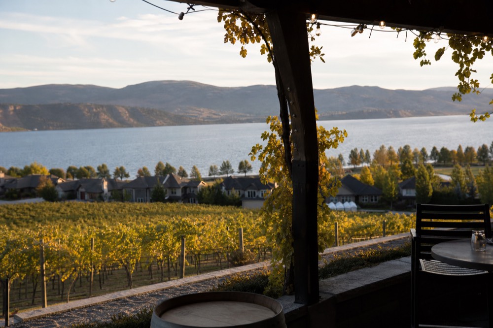 A hillside tasting-room patio looking over vineyard rows to a long blue lake with dry hills beyond, no people, no logos.