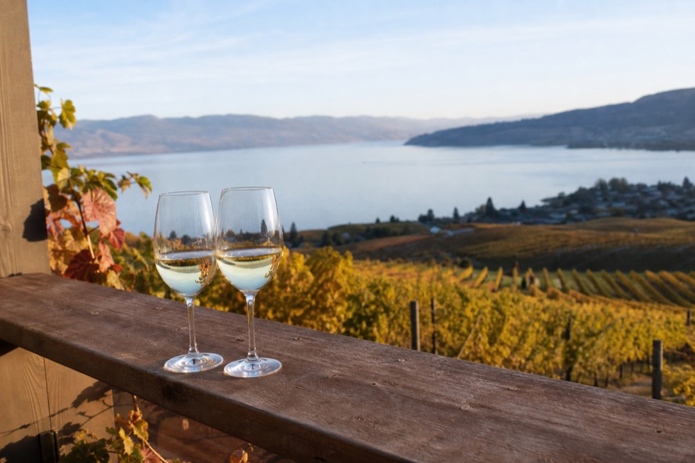 Two glasses of pale white wine on a wooden rail overlooking vineyard rows and a calm lake, soft morning light, no branding, no people.