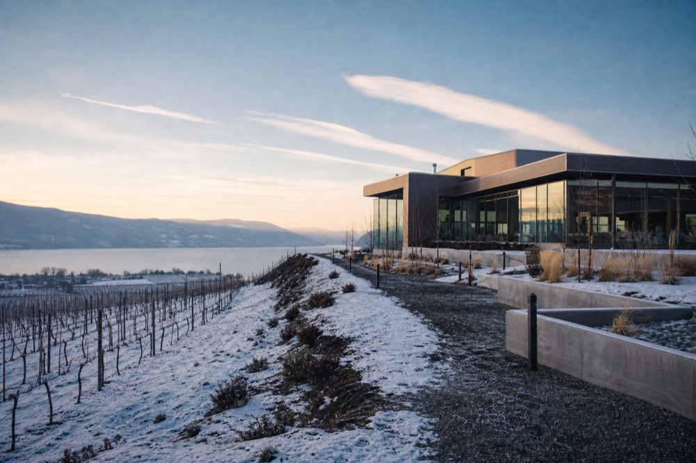A modern winery building with large windows set into a vineyard hillside above a lake, fresh landscaping, no logos, no people.
