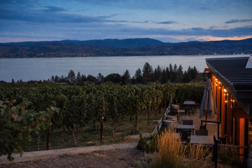 Vineyard rows in low evening light with a tasting patio and lake view in the background, warm colours, no people, no branding.