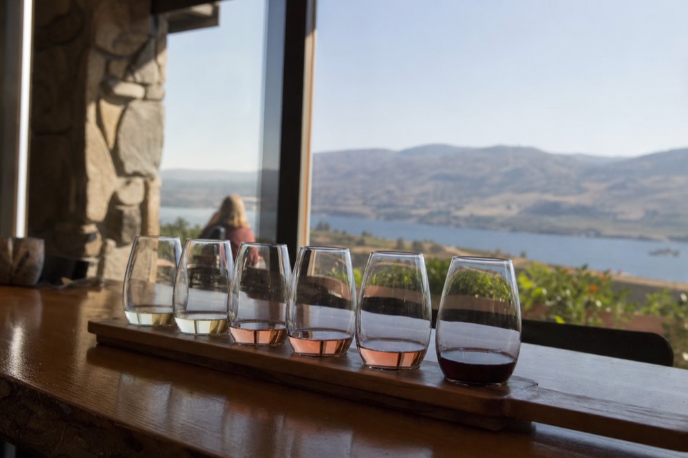A row of small tasting pours lined along a wooden counter with a lake visible through a window, bright daylight, no branding, no people.
