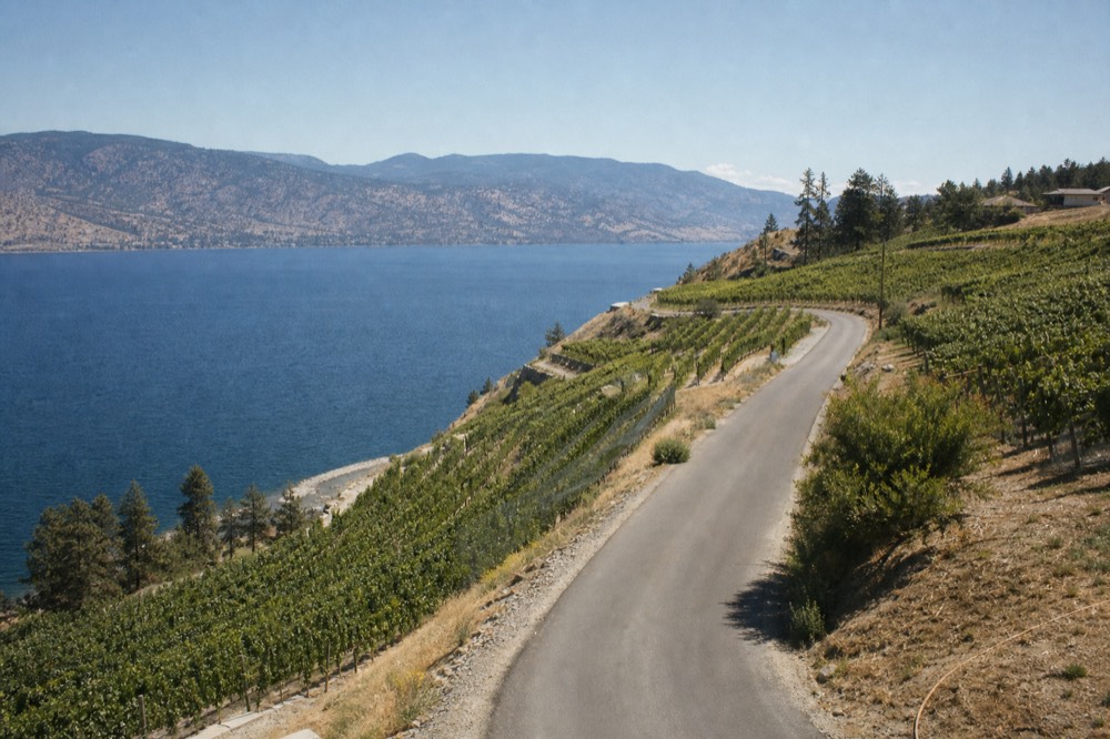 A winding lakeside road cutting through terraced vineyards on a hillside above deep blue water, no cars, no signage, no people.