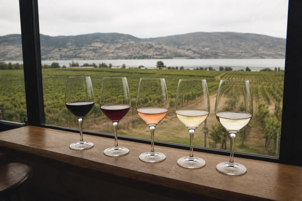 A flight of five wine glasses with varying red and white pours arranged on a wooden ledge overlooking a vineyard, warm light, no branding, no people.