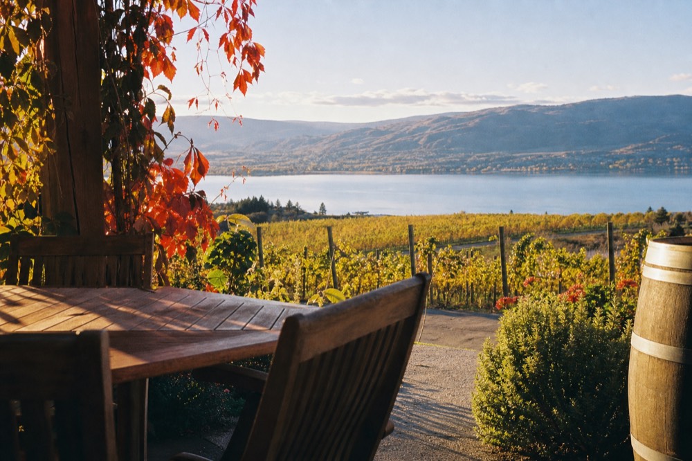A hillside tasting patio with wooden tables looking out over rows of vines dropping to a wide blue lake at golden hour, no people, no branding, no text.