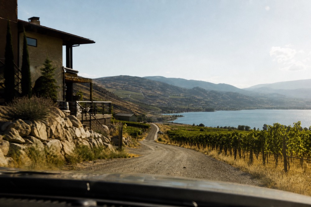A private vehicle's-eye view along a quiet vineyard road winding through desert wine country with dry hills and a lake ahead, no people, no license plates, no signage, no text.