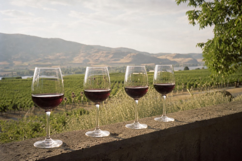 A tasting flight of four red wines in stemmed glasses lined up on a stone ledge with desert vineyard and pale hills behind, strong sunlight, no people, no branding, no text.