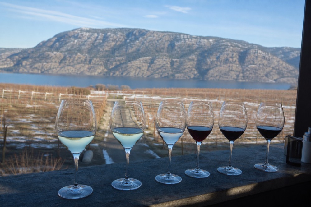 A flight of sparkling and still wines in glasses on a patio ledge overlooking vineyard rows and a lake at the base of a bench, bright afternoon light, no people, no branding, no text.