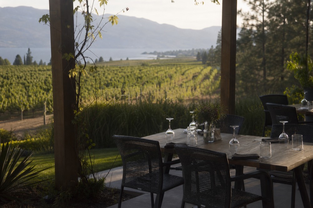 A quiet cellar-door patio set for a small private group above sloped vineyard rows, empty chairs, warm light, no signage, no people.