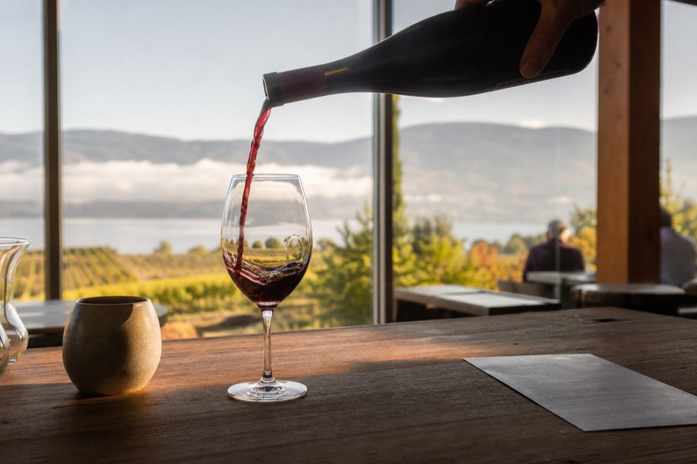 An unhurried pour of red wine into a glass on a wooden tasting bar with soft vineyard light behind, no logos, no people.