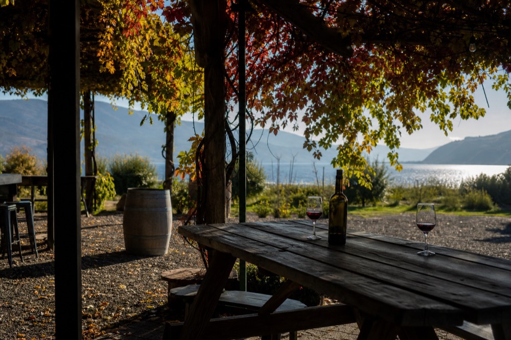 A picnic table with a wine bottle and glasses under a vine canopy with the lake beyond, no branding, no faces, no people.