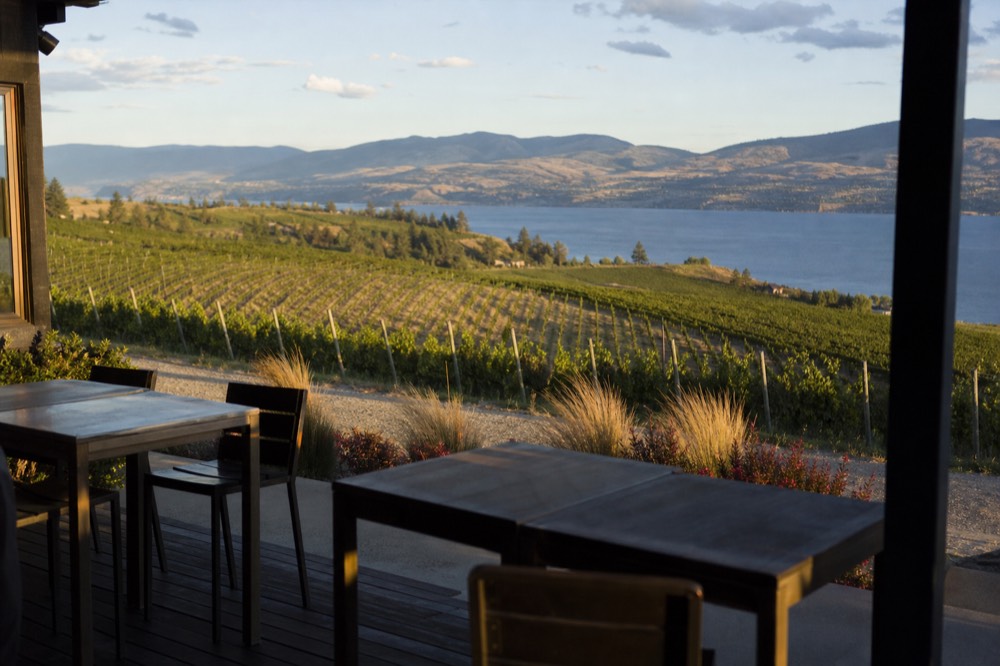 Vineyard benches on a hillside above a wide lake with dry hills across the water, low afternoon sun, no people, no logos.