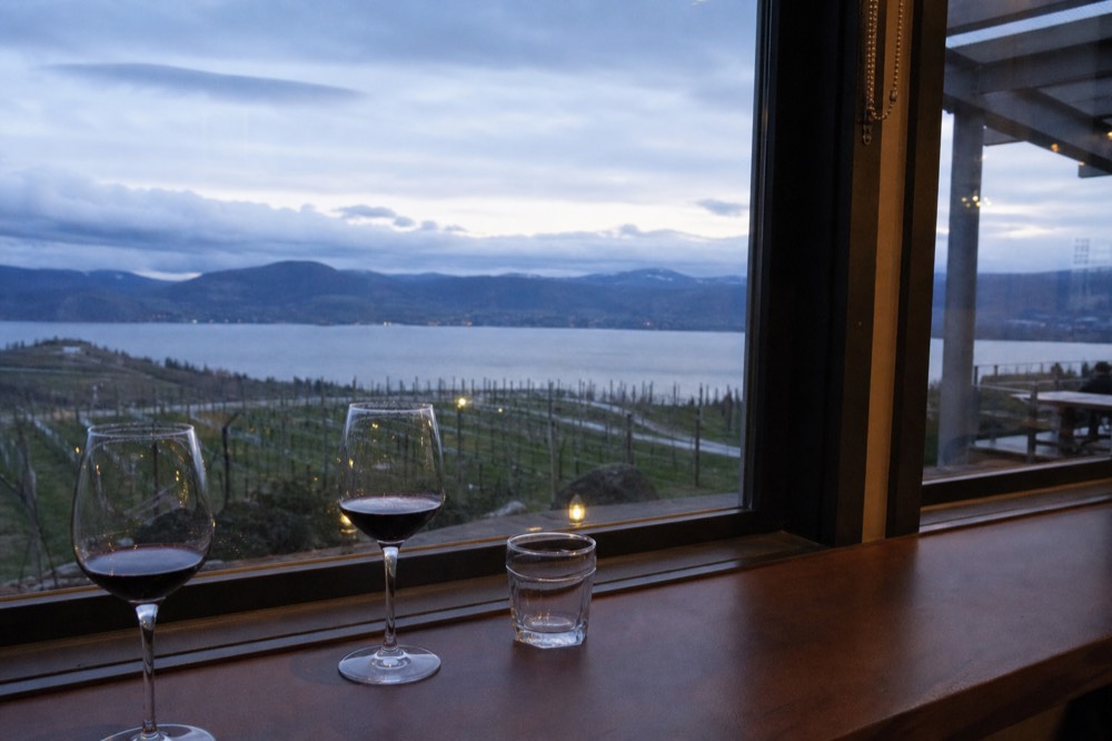 A tasting-room window looking out over vineyard rows to a lake, wine glasses on a sill, soft daylight, no branding, no people.