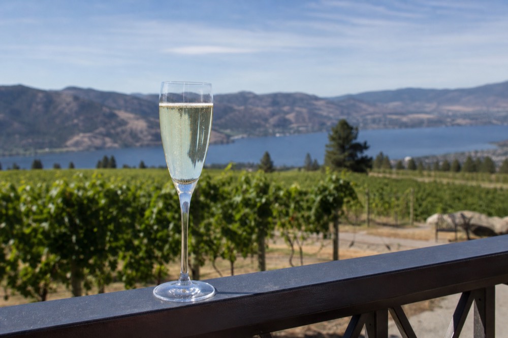 A flute of sparkling wine on a rail with vineyard rows and a lake blurred behind, bright daylight, no logos, no people.