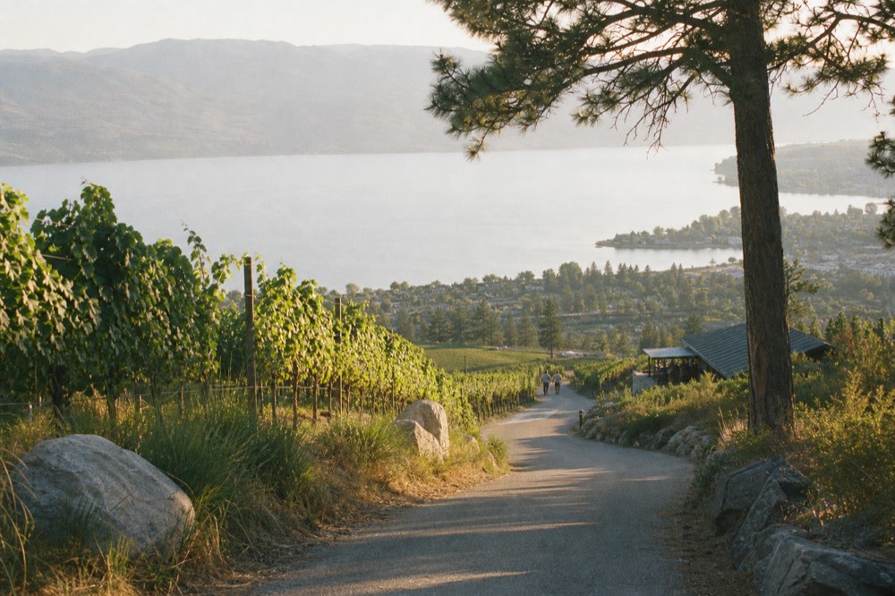A country road winding down a bench toward a lakeside town with vineyards on the slopes, hazy afternoon, no cars, no signage.
